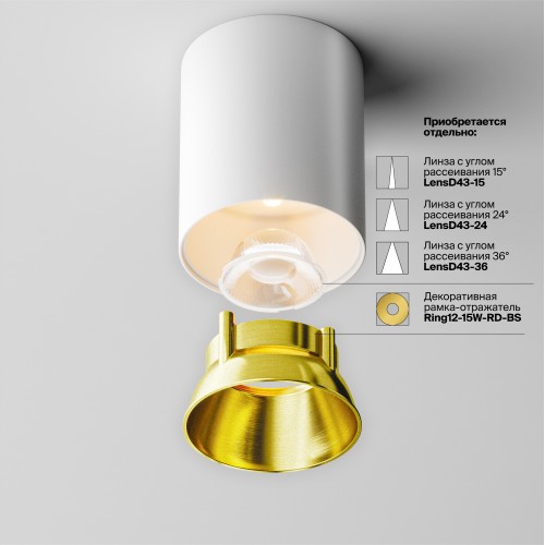 Потолочный светильник Technical C064CL-12W3K-RD-WB