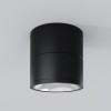 Потолочный светильник Maytoni Outdoor Spin O310CL-L12GF3K