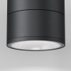 Потолочный светильник  Maytoni Outdoor Spin O310CL-L12GF3K