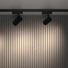 Трековый светильник Technical TR029-3-30W3K-B