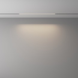 Трековый светильник Technical TR240-2-12W4K-B