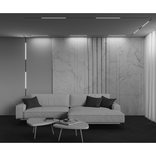 Трековый светильник Technical TR240-2-12W4K-B