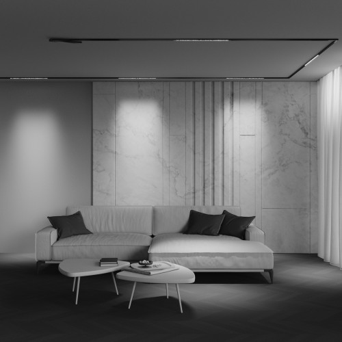 Трековый светильник Technical TR241-2-12W4K-B