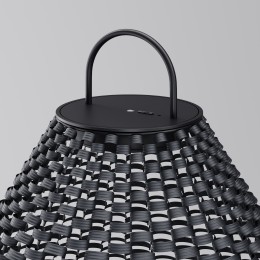 Уличный переносной аккумуляторный светильник  Maytoni Outdoor Plet O530FL-L5B3K1