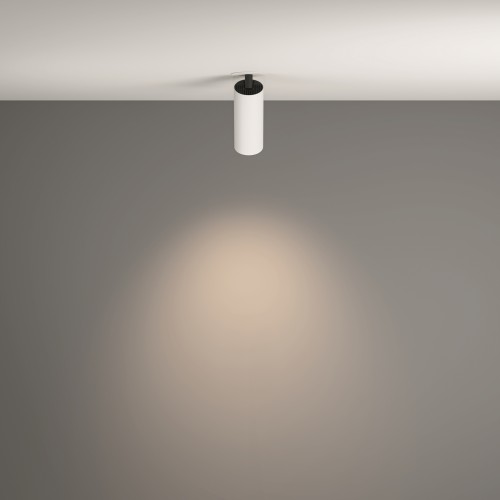 Потолочный светильник Technical C053CL-L12W4K-W-W