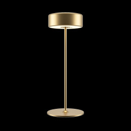 Аккумуляторный светильник Maytoni AI Collaboration MOD229TL-L3G3K2