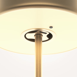 Аккумуляторный светильник Maytoni AI Collaboration MOD229TL-L3G3K2