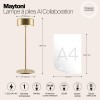 Аккумуляторный светильник Maytoni AI Collaboration MOD229TL-L3G3K2