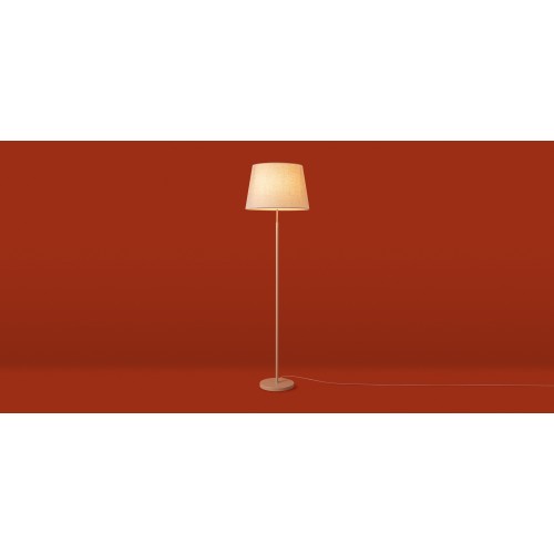 Напольный светильник (торшер) Freya FR2057FL-01BG