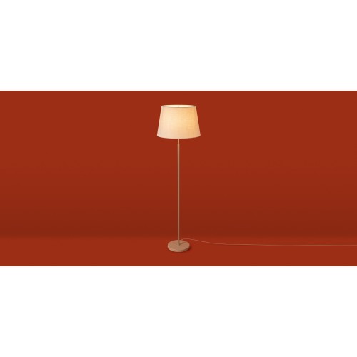 Напольный светильник (торшер) Freya FR2057FL-01BG