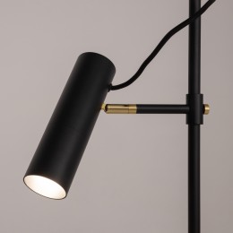 Напольный светильник (торшер) Maytoni Bansky MOD129FL-01B