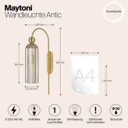 Настенный светильник (бра) Maytoni Antic MOD302WL-01CG