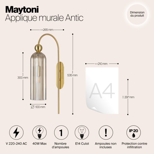 Настенный светильник (бра) Maytoni Antic MOD302WL-01CG