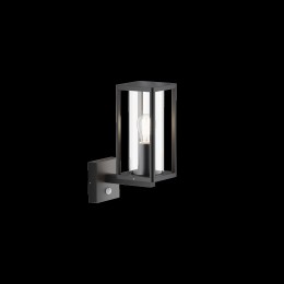 Настенный светильник (бра)  Maytoni Outdoor Cell O452WL-01GFSR