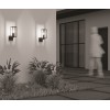 Настенный светильник (бра)  Maytoni Outdoor Cell O452WL-01GFSR