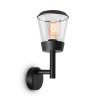 Настенный светильник (бра)  Maytoni Outdoor Faro O039WL-01B