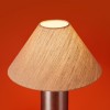 Настольный светильник Freya FR5632TL-01N