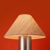 Настольный светильник Freya FR5632TL-01N