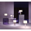 Настольный светильник Maytoni Bianco Z030TL-01BS2