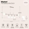Подвесной светильник Maytoni Erich MOD221-PL-05-N
