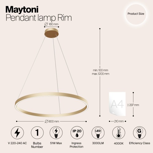 Подвесной светильник Maytoni Rim MOD058PL-L42BS4K