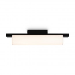 Потолочный светильник Freya FR5625CL-L20B