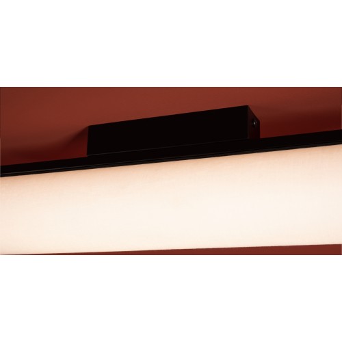 Потолочный светильник Freya FR5625CL-L20B