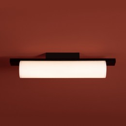 Потолочный светильник Freya FR5625CL-L20B