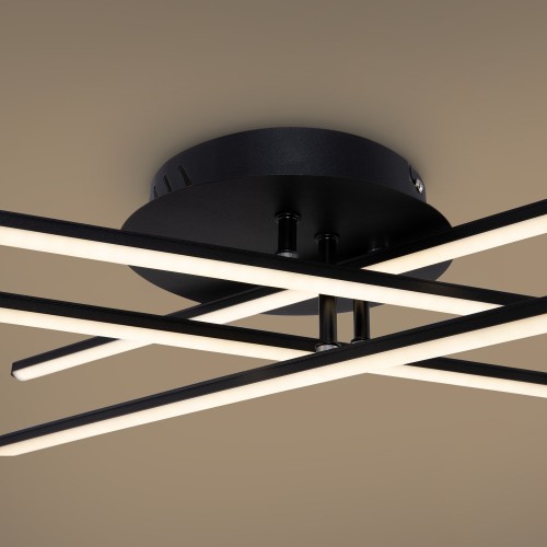 Потолочный светильник Freya FR6036CL-L40B