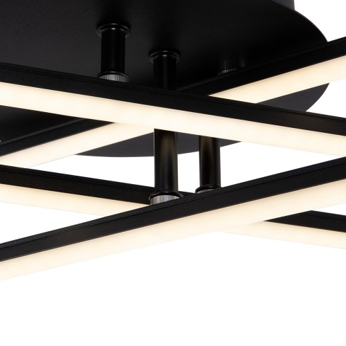 Потолочный светильник Freya FR6036CL-L40B