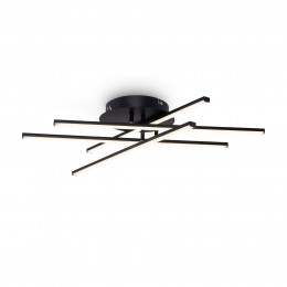 Потолочный светильник Freya FR6036CL-L40B