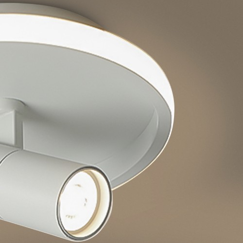 Потолочный светильник Freya FR6040CL-L14W