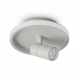 Потолочный светильник Freya FR6040CL-L14W