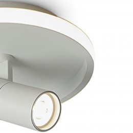 Потолочный светильник Freya FR6040CL-L14W