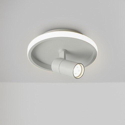 Потолочный светильник Freya FR6040CL-L14W