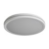 Потолочный светильник Freya FR6160CL-L40W