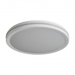 Потолочный светильник Freya FR6160CL-L40W
