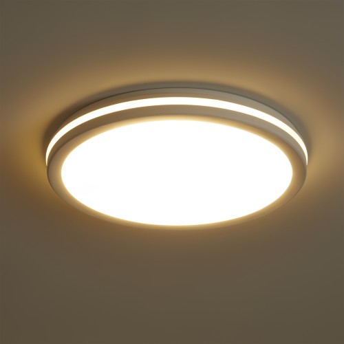 Потолочный светильник Freya FR6160CL-L40W