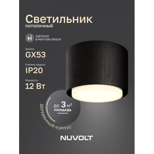Потолочный светильник NUVOLT LDL-007BW