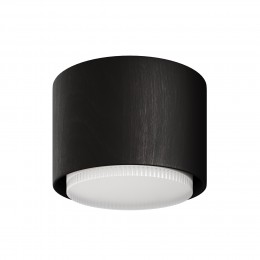 Потолочный светильник NUVOLT LDL-007BW