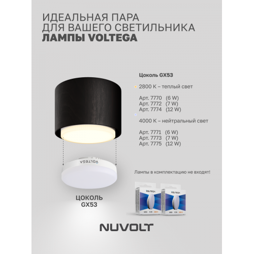 Потолочный светильник NUVOLT LDL-007BW