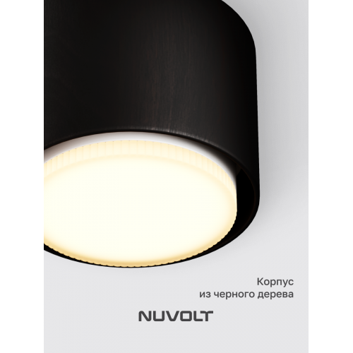 Потолочный светильник NUVOLT LDL-007BW