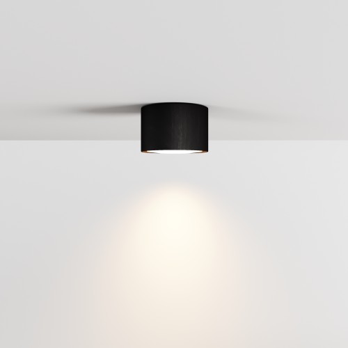 Потолочный светильник NUVOLT LDL-007BW