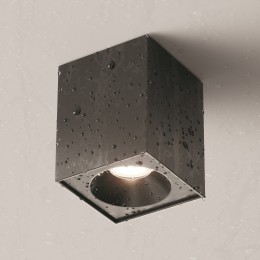 Потолочный светильник Technical C030CL-01B