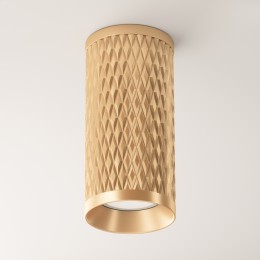 Потолочный светильник Technical C036CL-01G