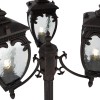 Садово-парковый светильник  Maytoni Outdoor Fleur O414FL-03BZ