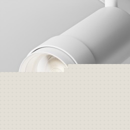 Трековый светильник Technical TR212-4-12WTW-Z-DSZ-W