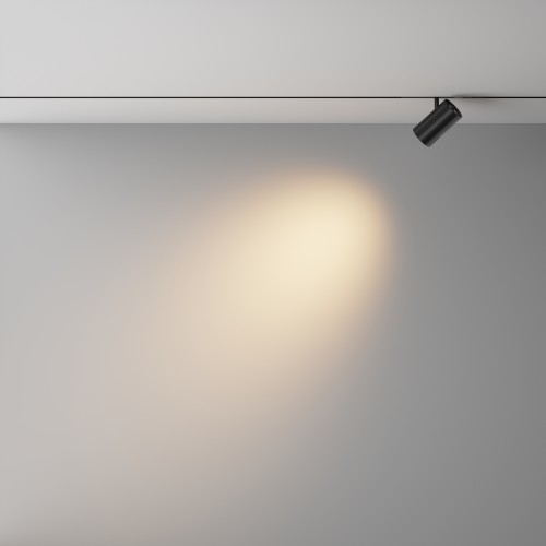 Трековый светильник Technical TR243-4-12WTW-DD2-B