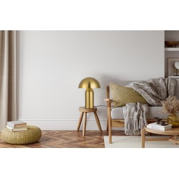 Настольный светильник Freya FR5218TL-02B1