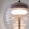 Настольный светильник Maytoni Mystic P060TL-L12BK
